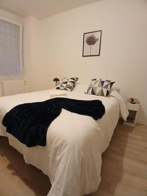 Appartement F1 Orchidee Mulhouse Kültér fotó