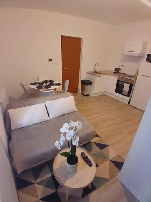 Appartement F1 Orchidee Mulhouse Kültér fotó