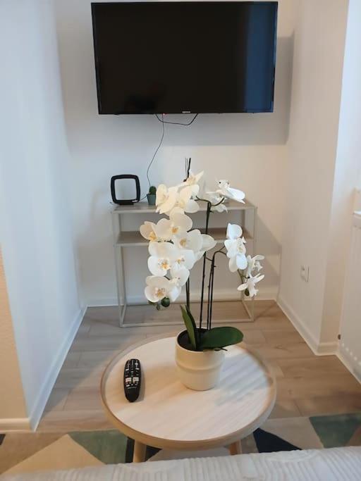 Appartement F1 Orchidee Mulhouse Kültér fotó